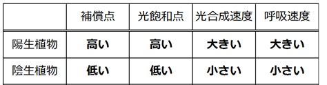 陽樹 陰樹 一覧|陽生植物と陰生植物 